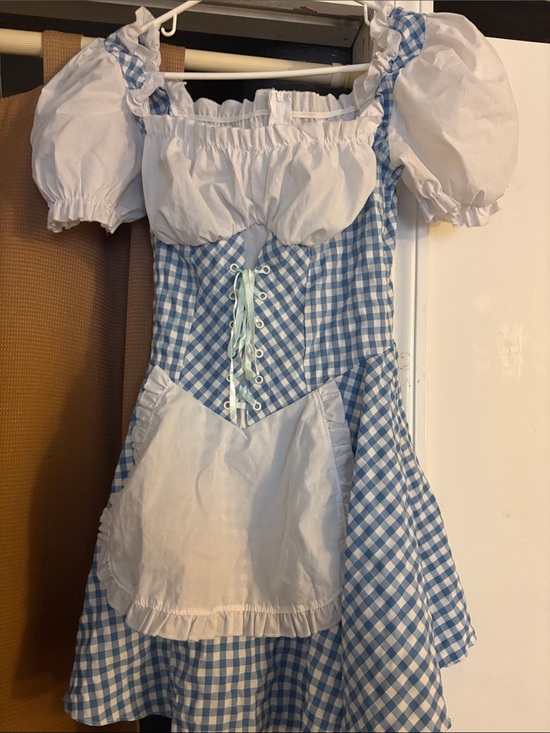Other - Blue and White Gingham Peasant Dress with Apron